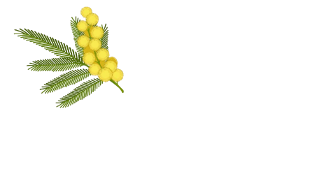 Le Clos des Mimosas